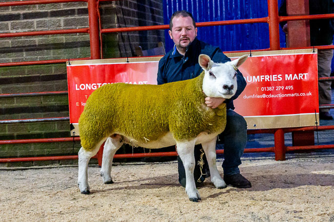 Drumbreddan Reserve Champion Hogg ewe lamb